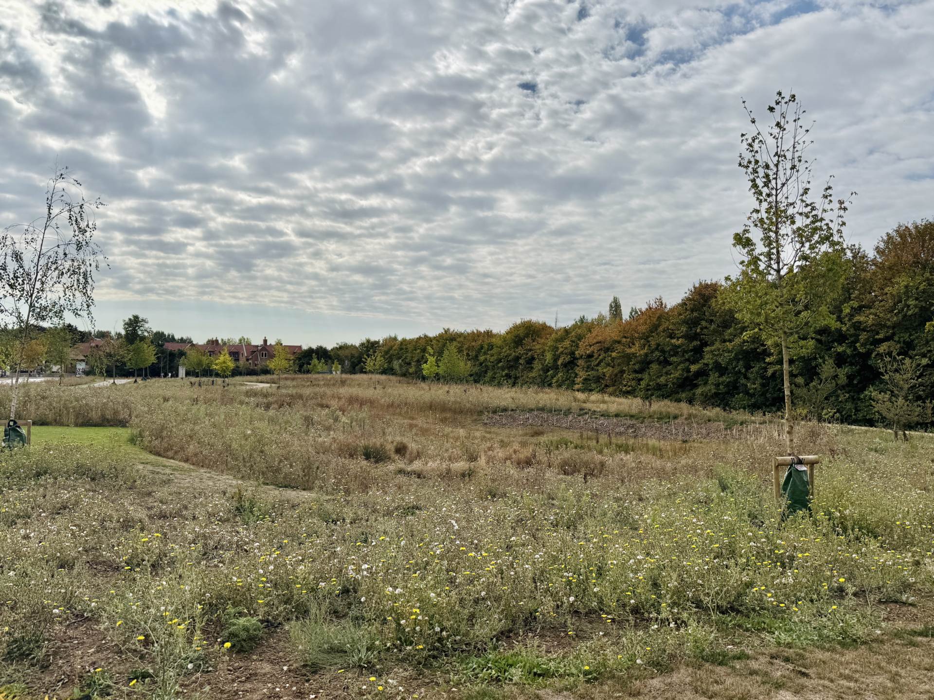 Wyatt Way, Wallingford, Image 15