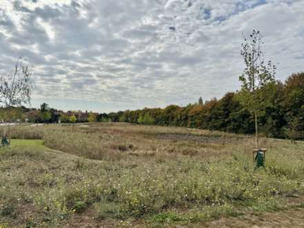 Wyatt Way, Wallingford, Image 15