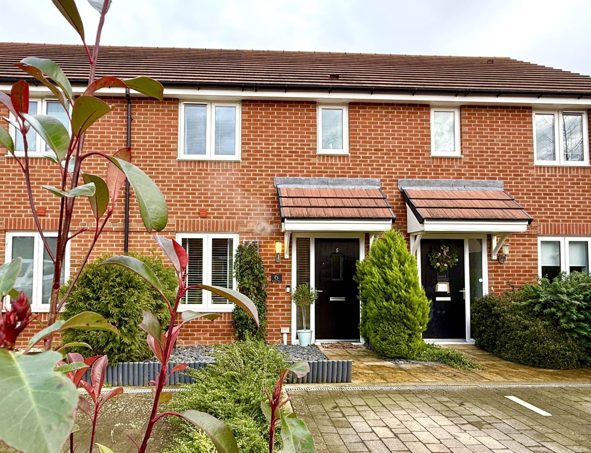 Sundew Close, Image 1