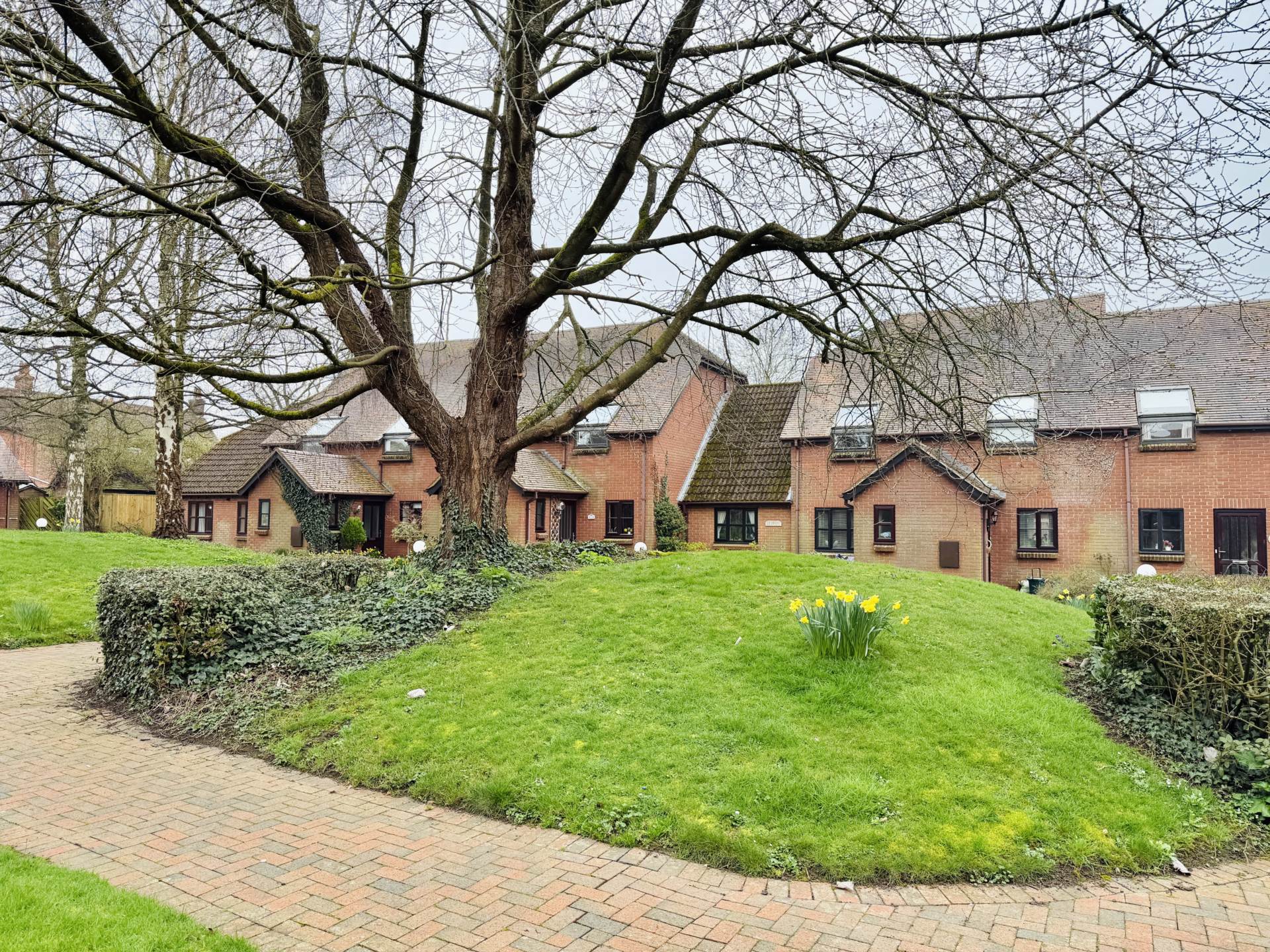 Orchard Walk, Watlington, Image 8