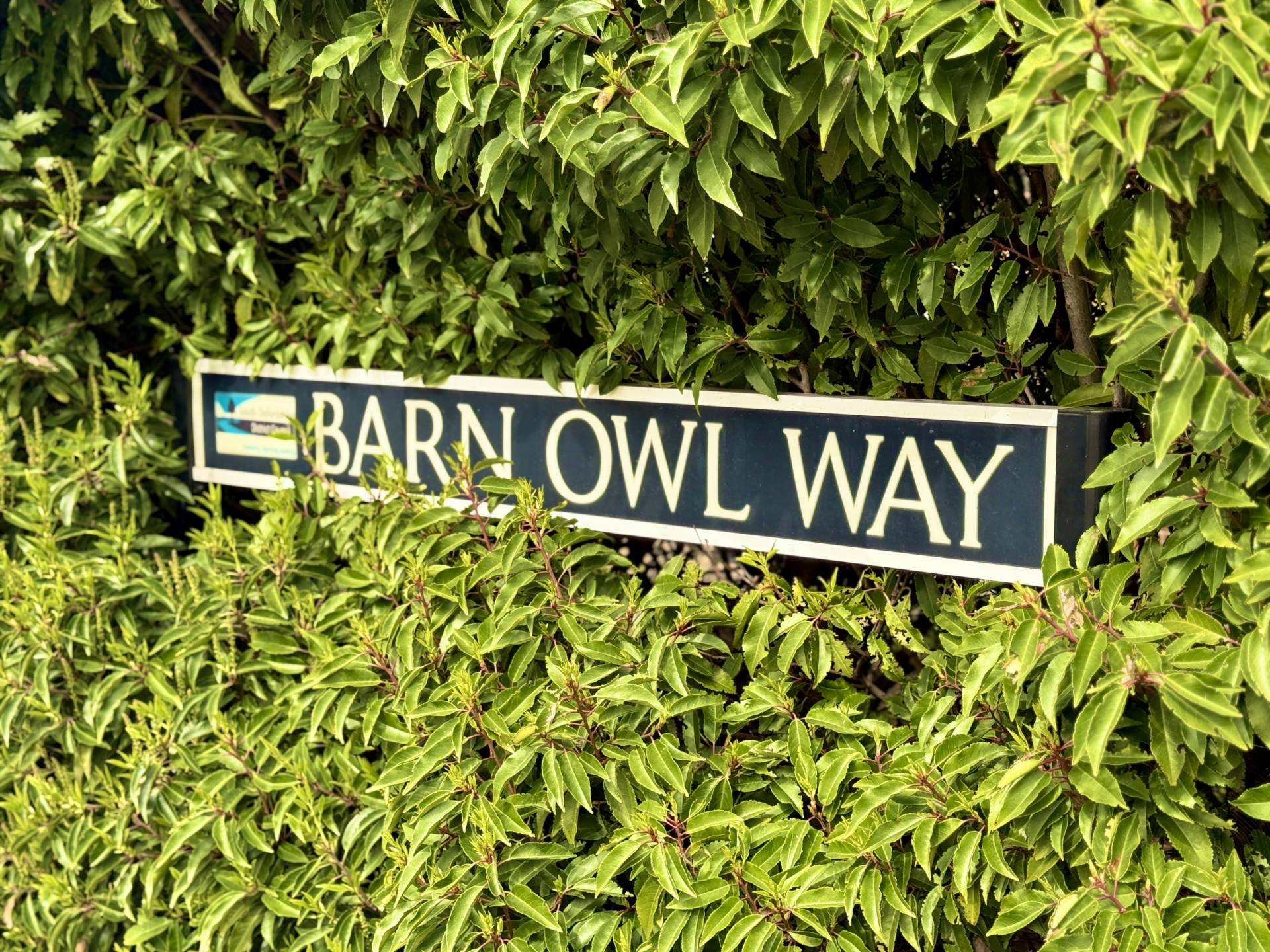 Barn Owl Way, Didcot, Image 2