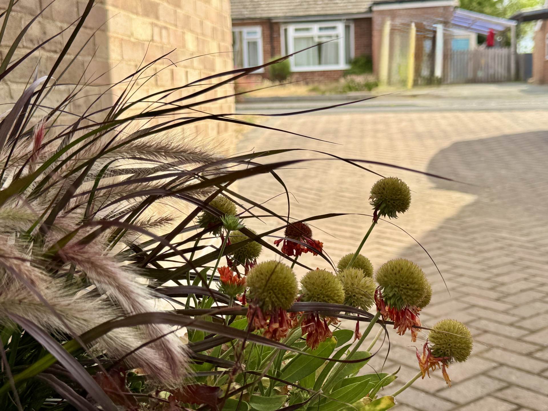 Blacklands Road, Benson, Image 18