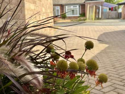 Blacklands Road, Benson, Image 18