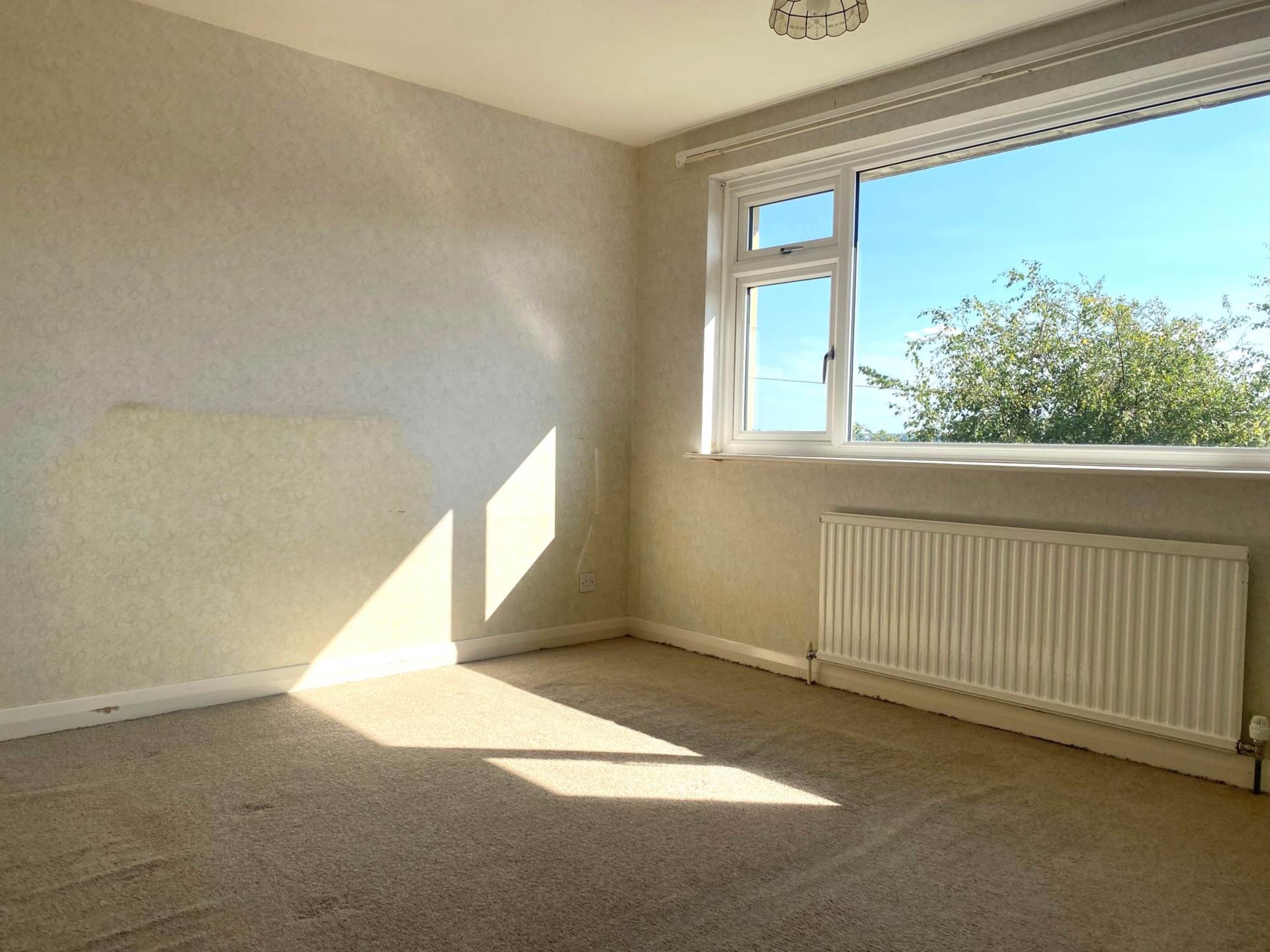 Napier Road, Bath, Image 8