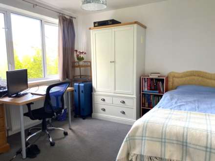 Greenbank Gardens, Bath, Image 15