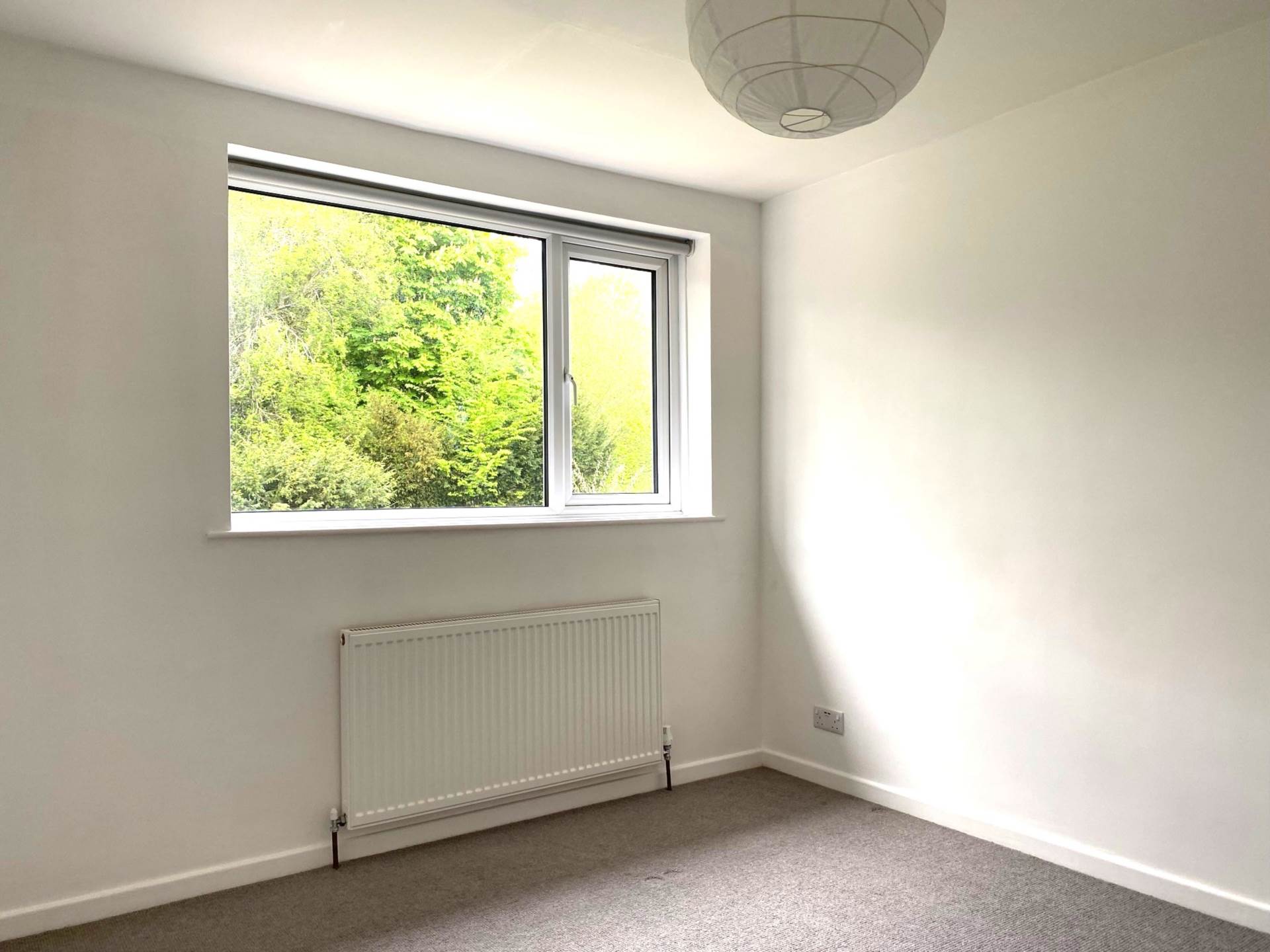 Greenbank Gardens, Bath, Image 6