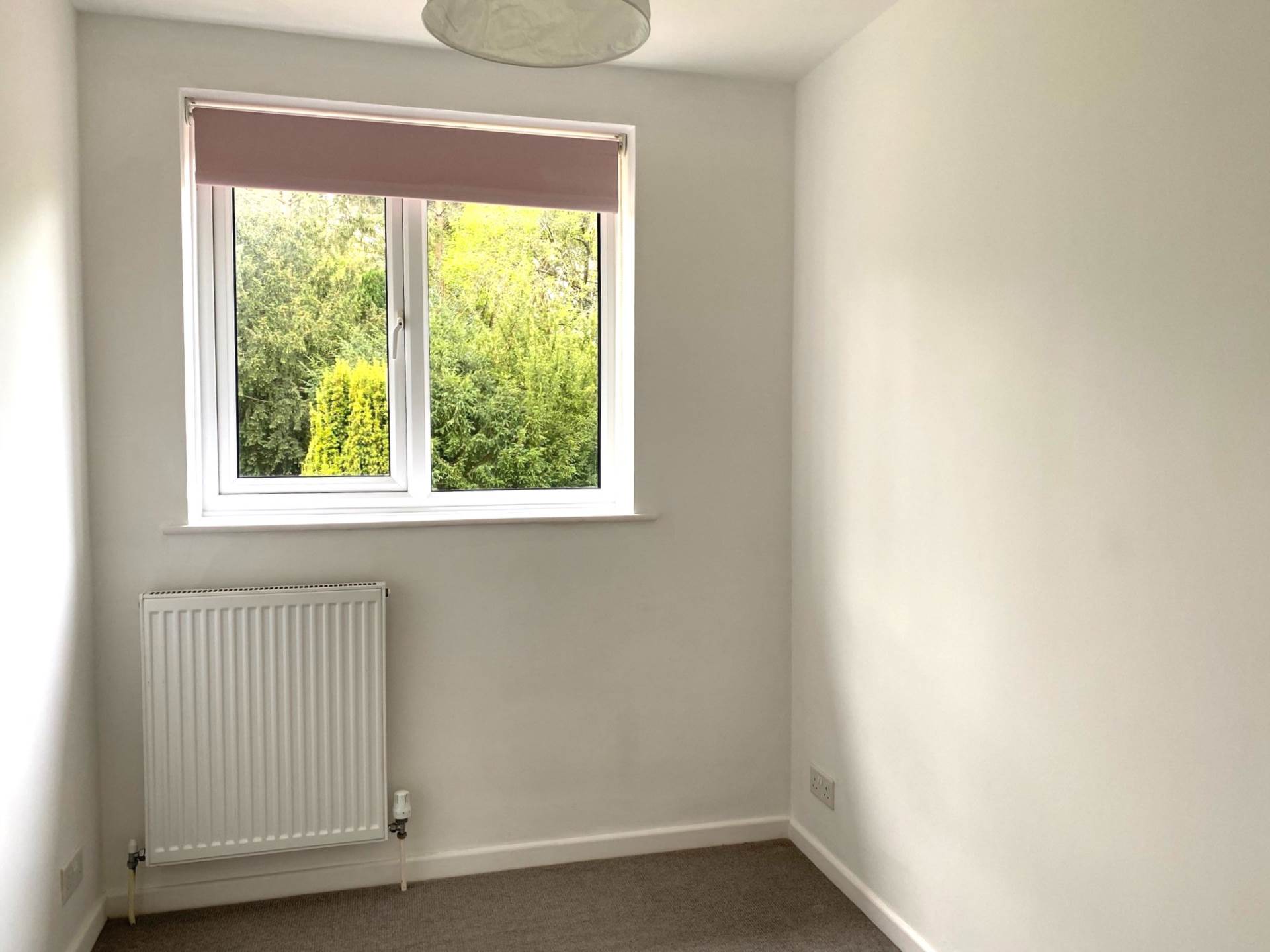 Greenbank Gardens, Bath, Image 7