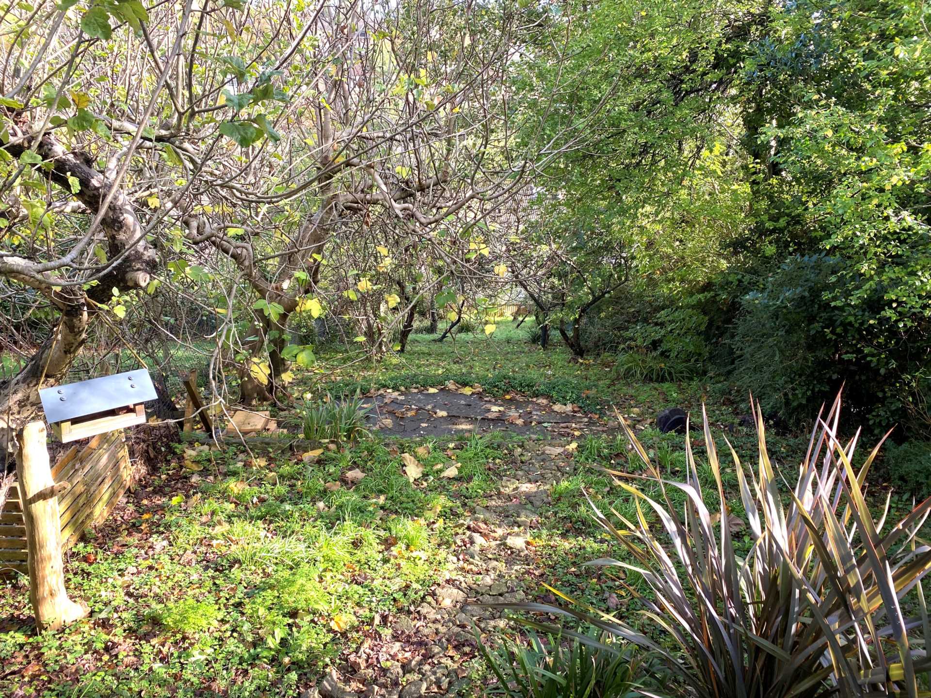 Cedric Road, Bath, Image 14