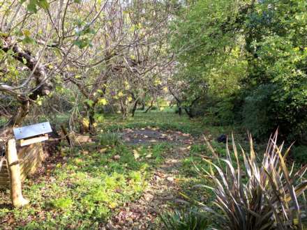 Cedric Road, Bath, Image 14