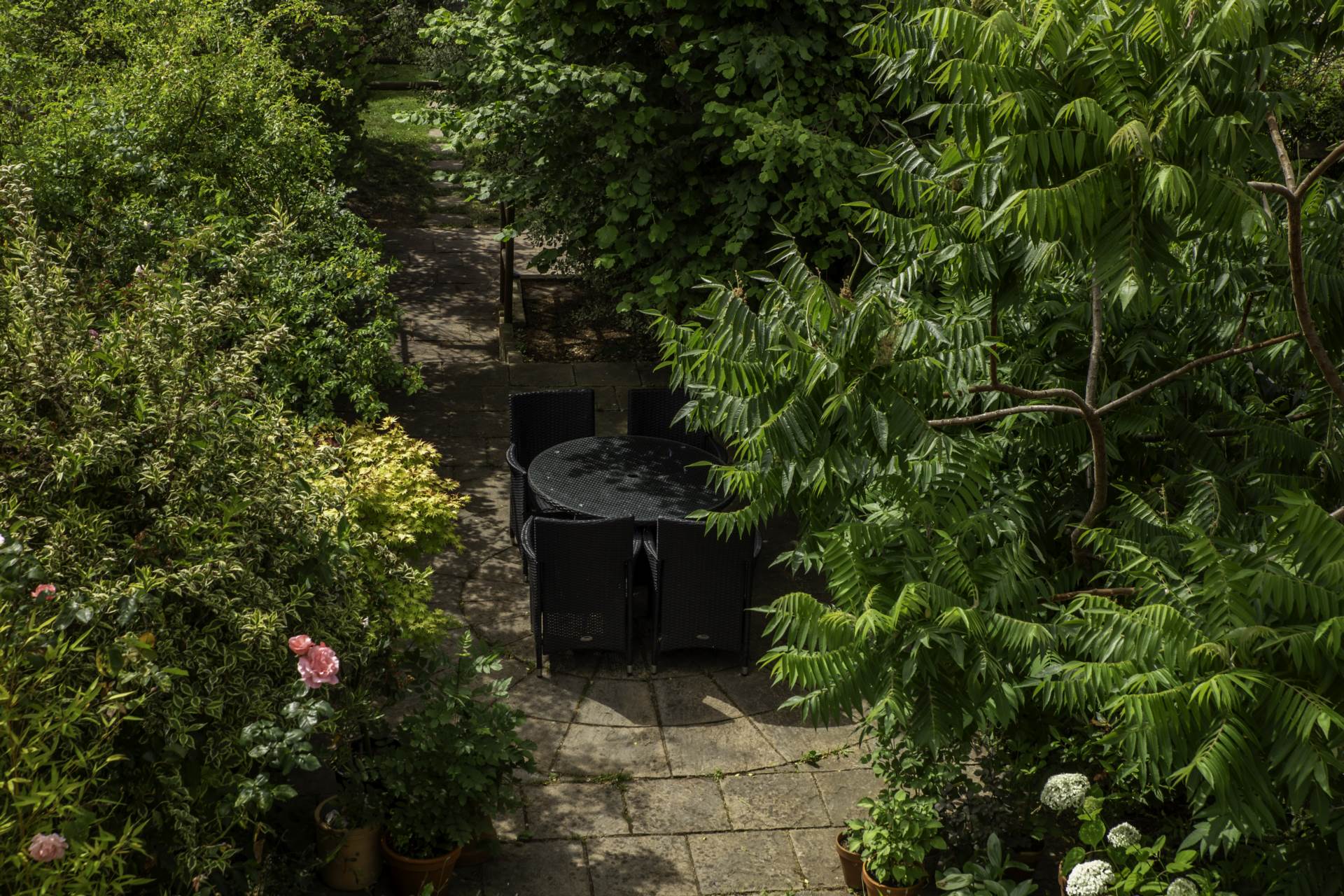 Locksbrook Road, Image 5