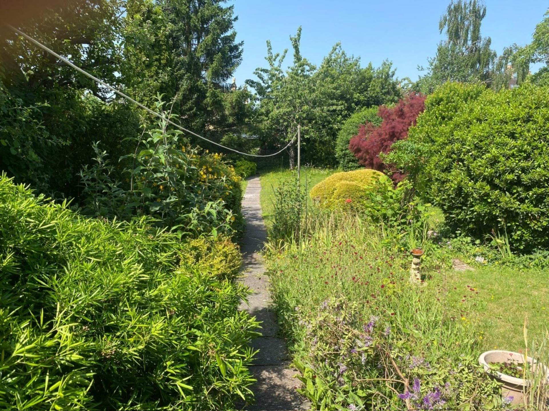 Cedric Road, Bath, Image 2