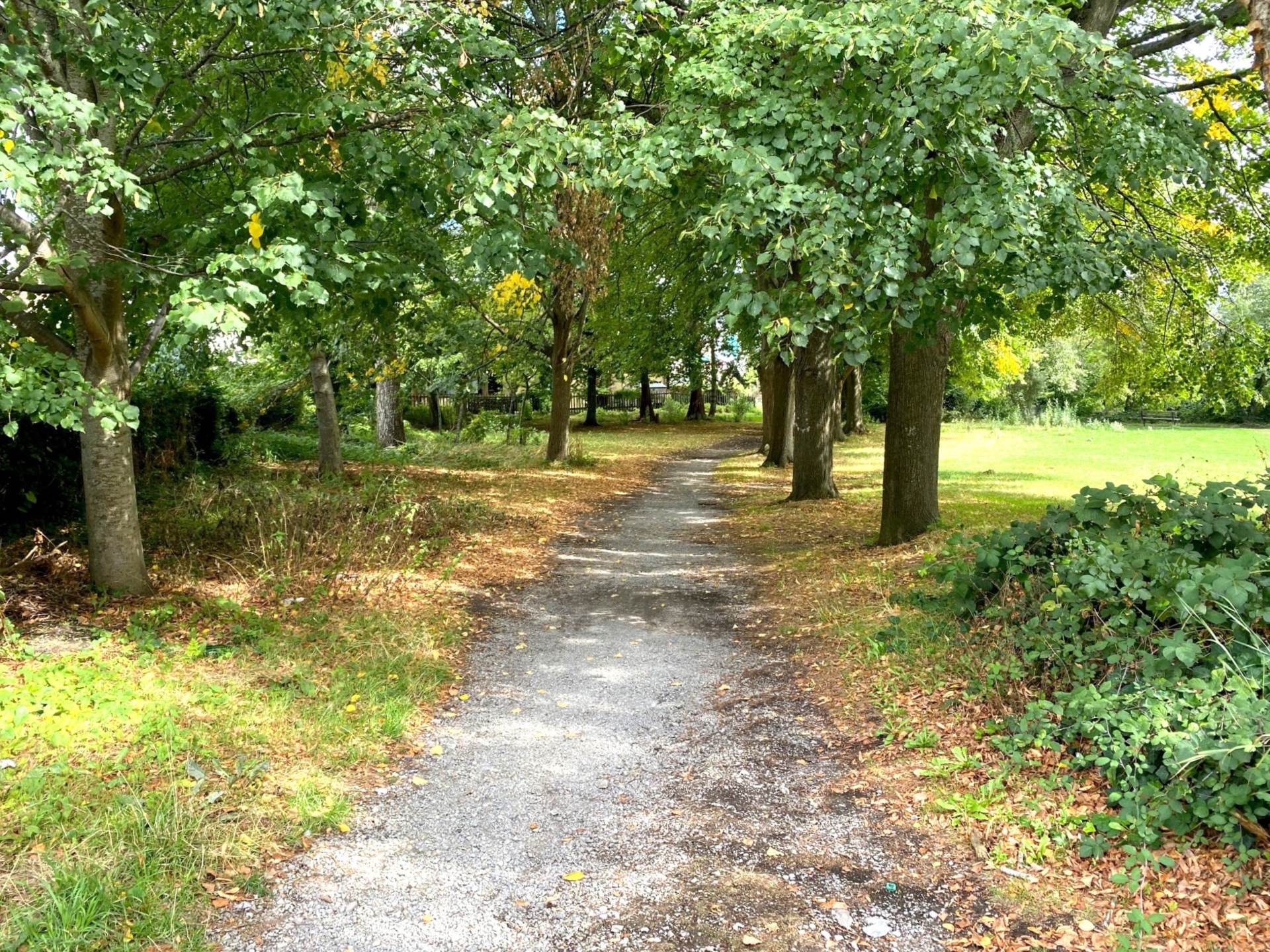 Locksbrook Road, Bath, Image 14
