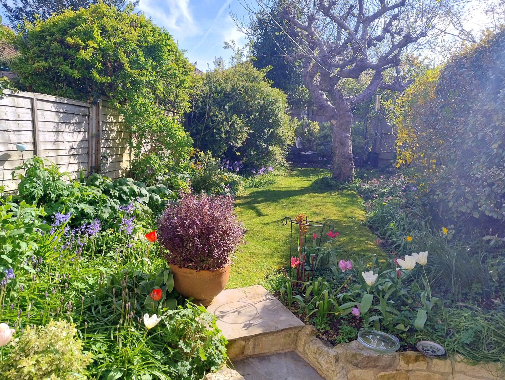 Charmouth Road, Bath, Image 4