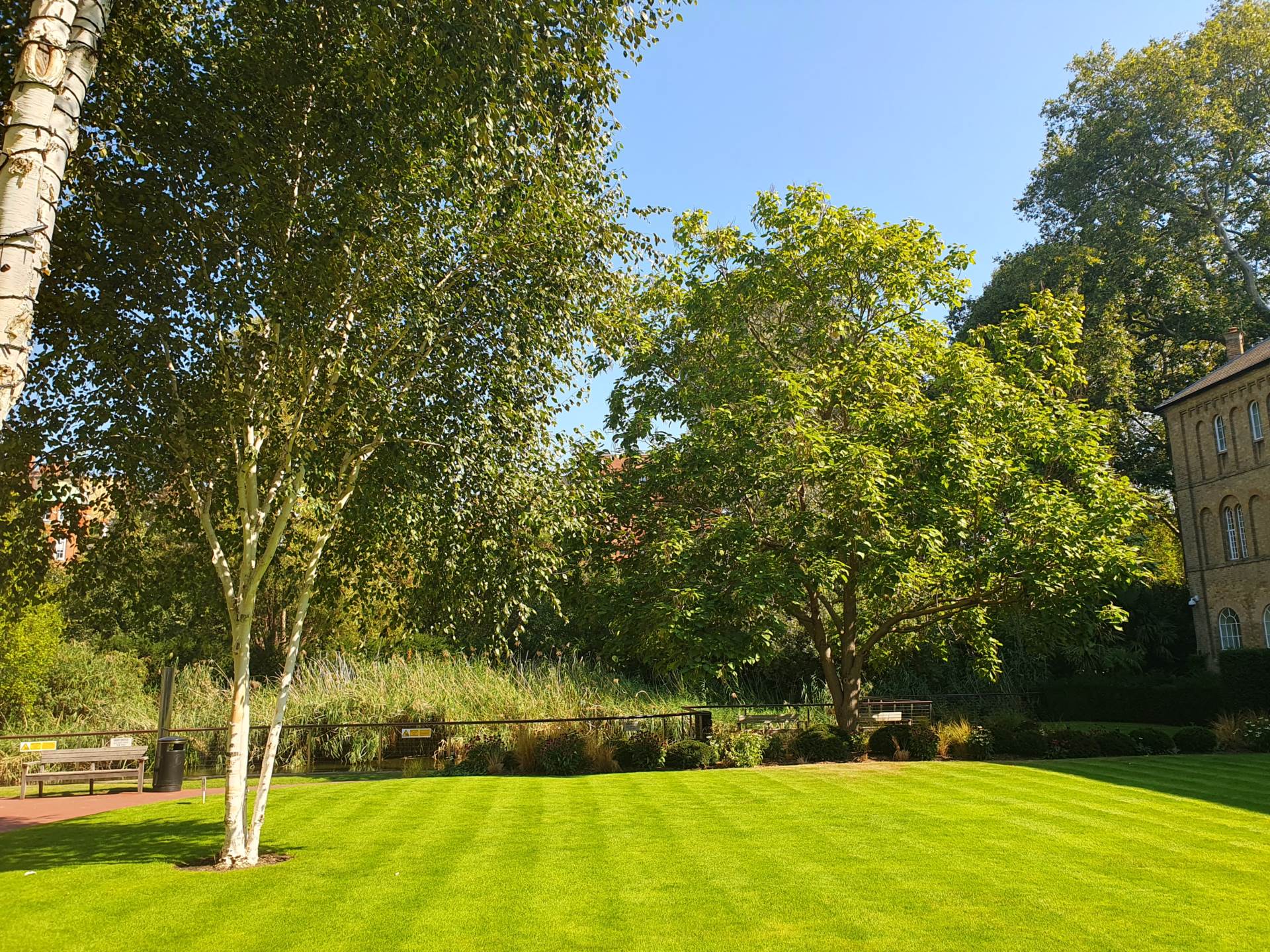 Coleridge Gardens, Chelsea, Image 15