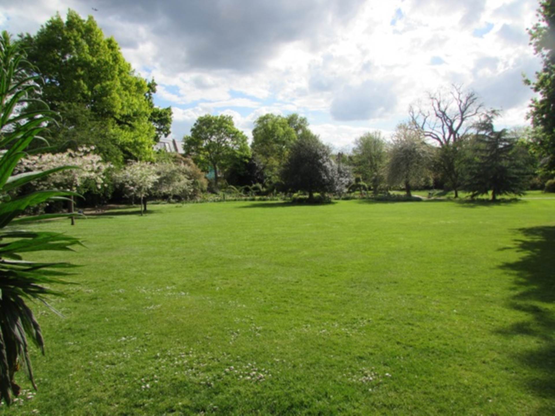 Leonard Court, Edwardes Square, Kensington W8, Image 14