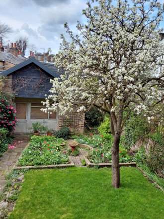 Addison Avenue, Holland Park, Image 20