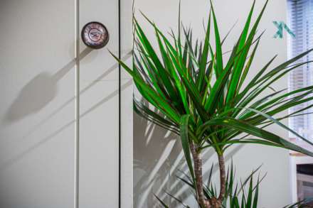 Hopton Road, London, Image 5