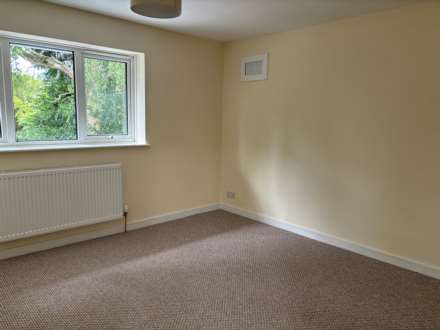 Homefield, Marlborough, Image 3