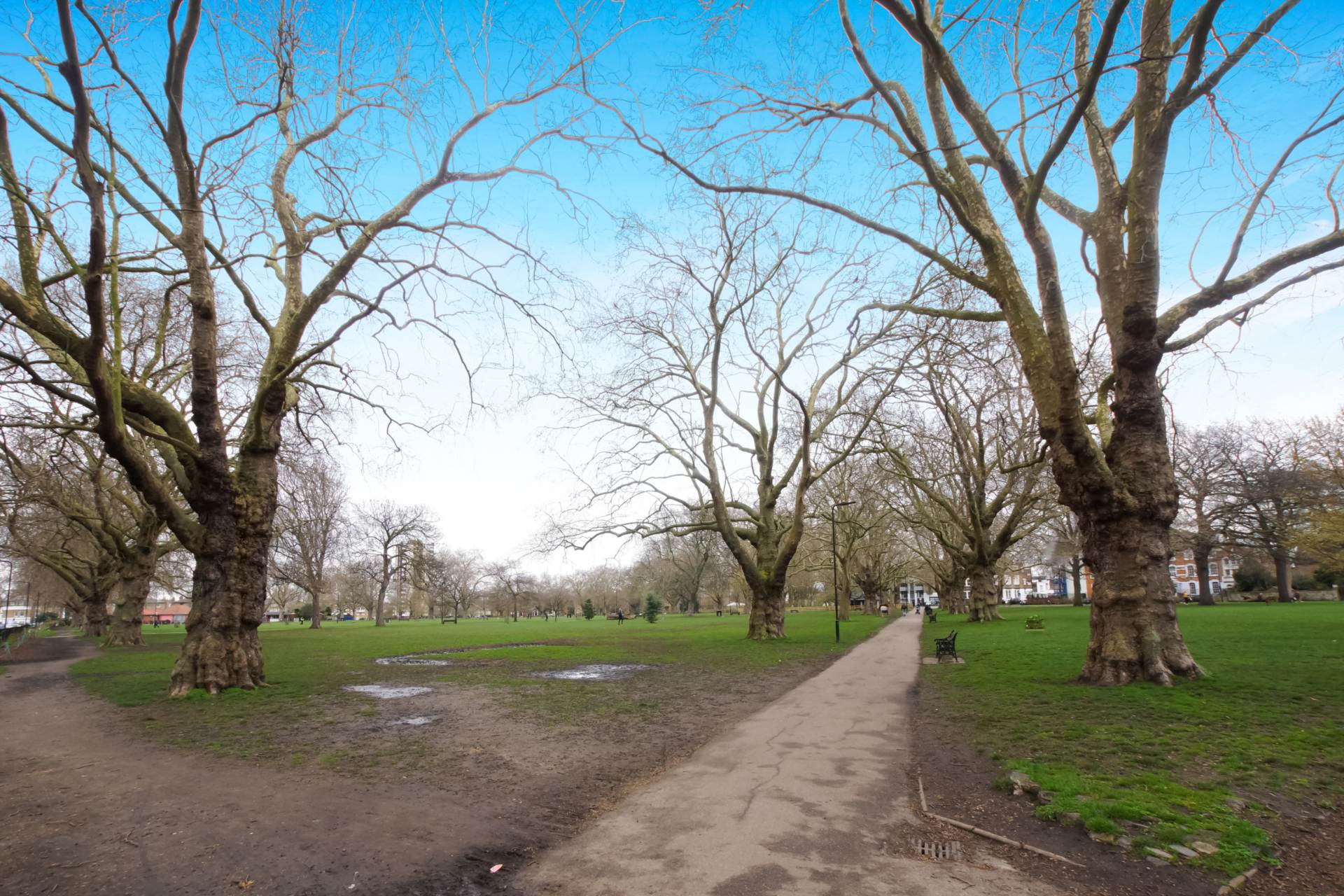 Rivington Walk, London Fields, E8, Image 15