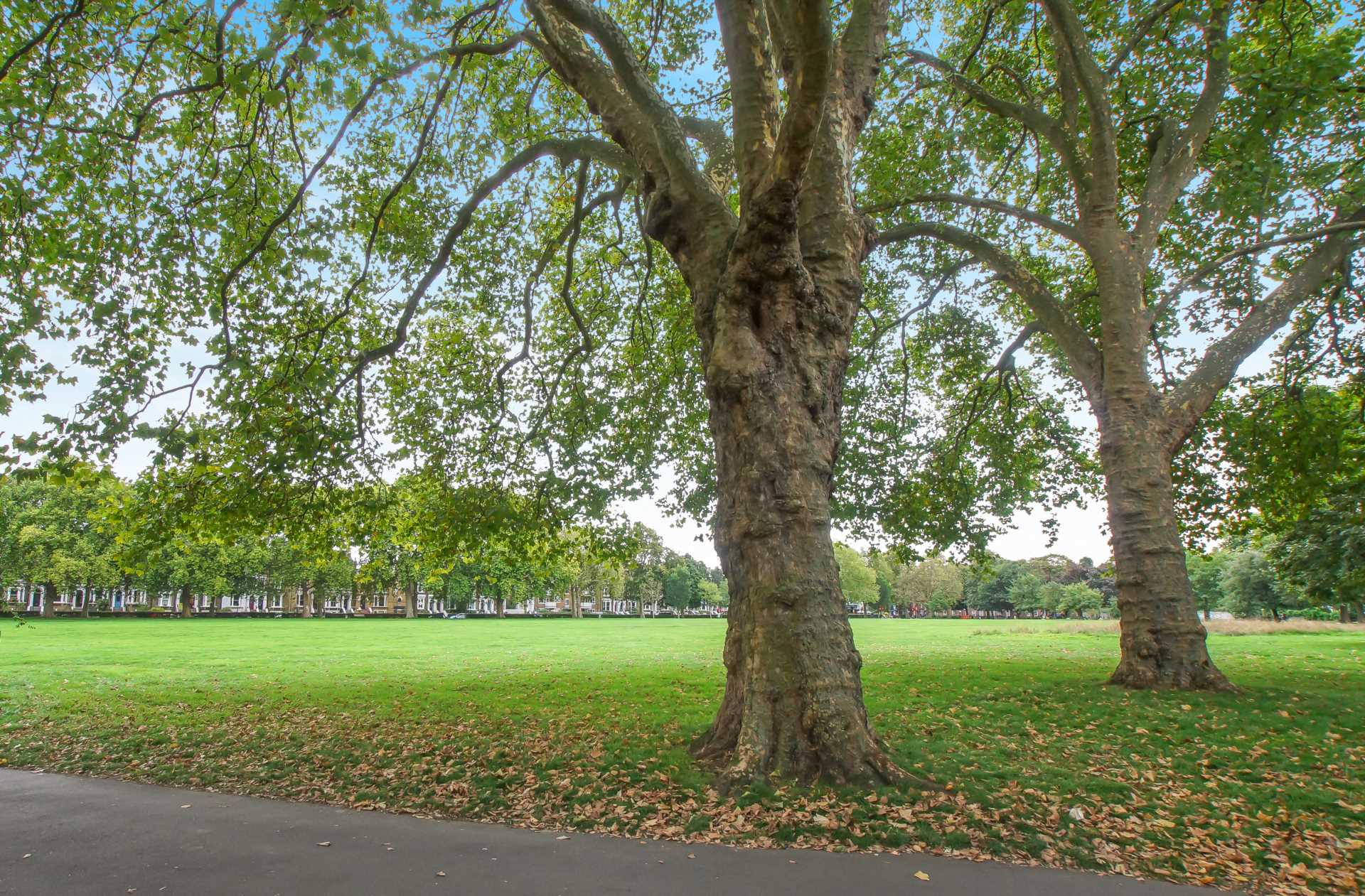 Monteagle Way, Clapton, Image 16