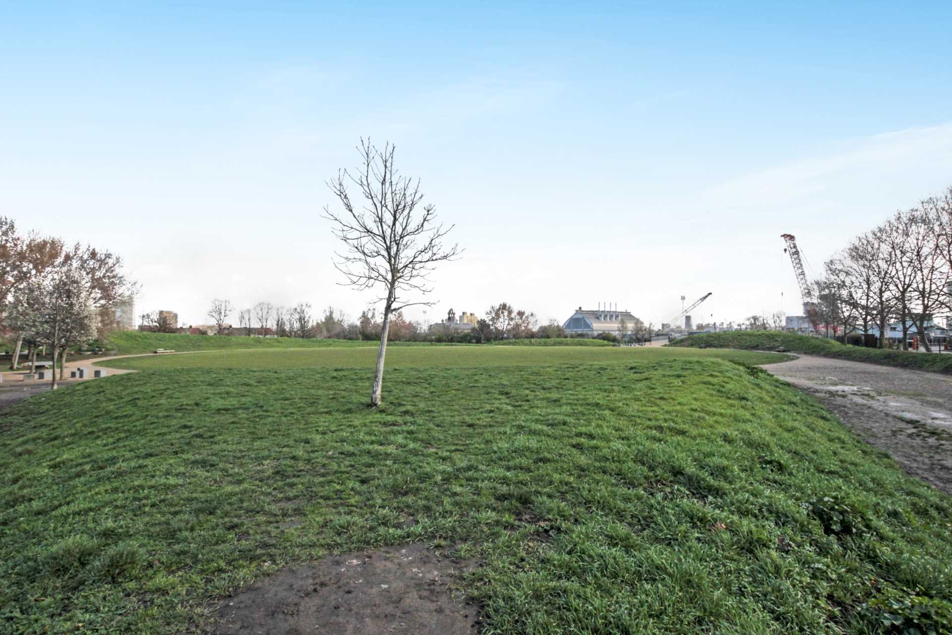 Island House, London E3, Image 24
