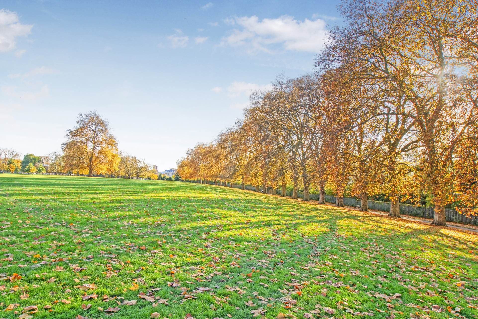 Hackney Downs Park, London, Image 12