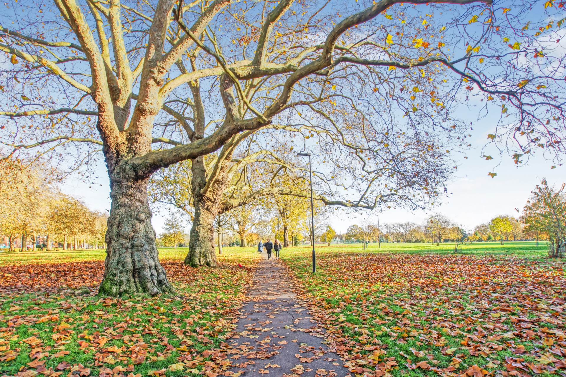 Hackney Downs Park, London, Image 13