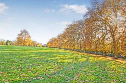 Hackney Downs Park, London, Image 12