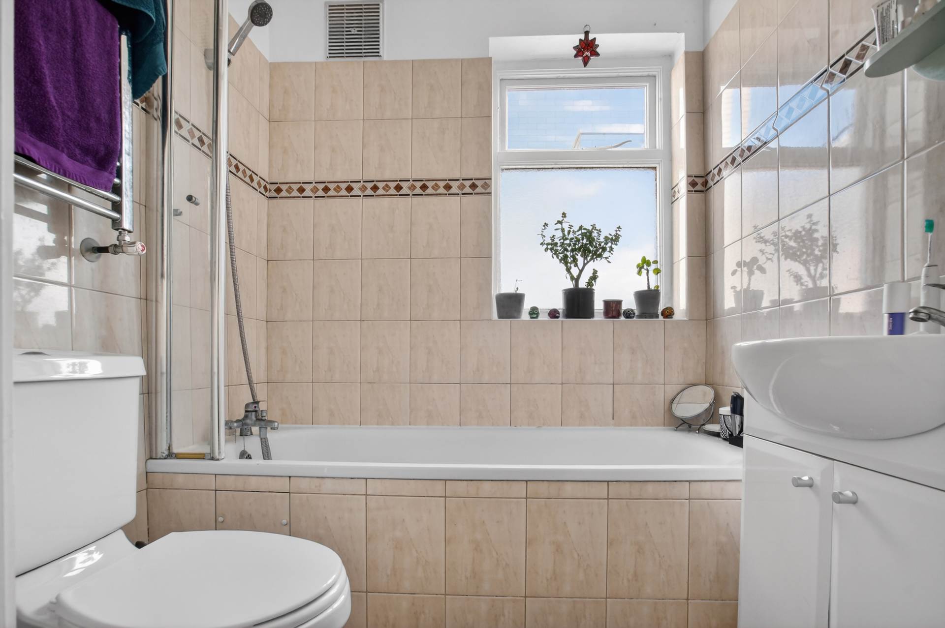 Clarence Road, Lower Clapton, Image 6