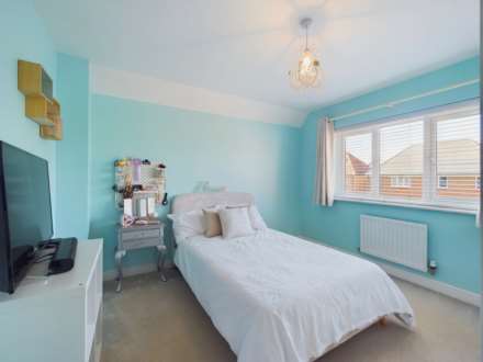 Field Rose, Weston Turville, Image 10