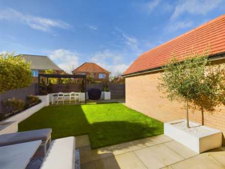 Field Rose, Weston Turville, Image 15
