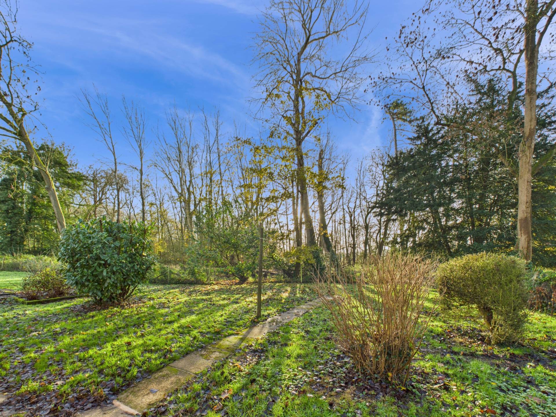 Queen Street, Waddesdon, Image 26