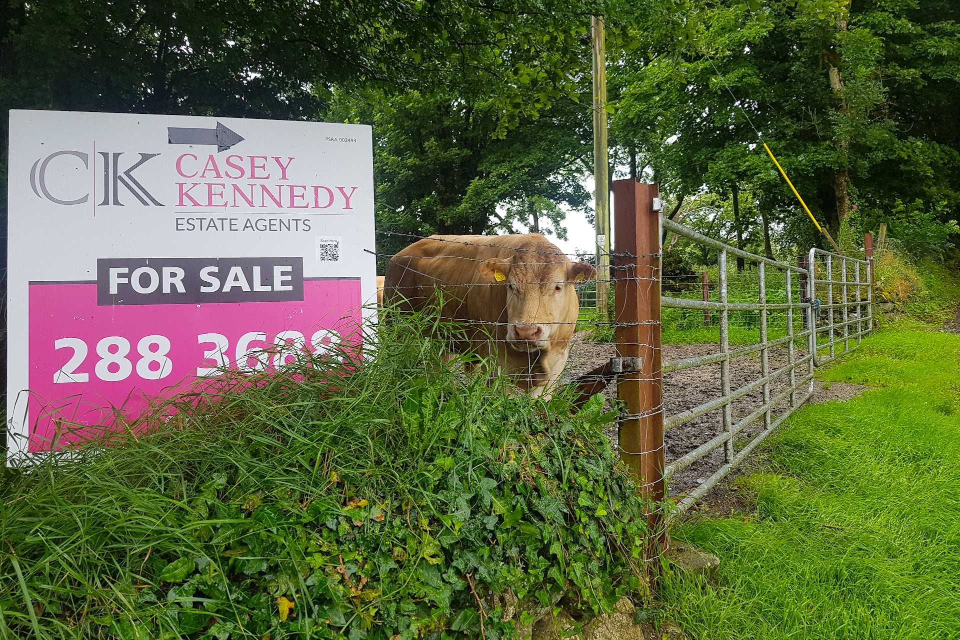 Ballymaconey, Rathdangan, Co. Wicklow W91 R821