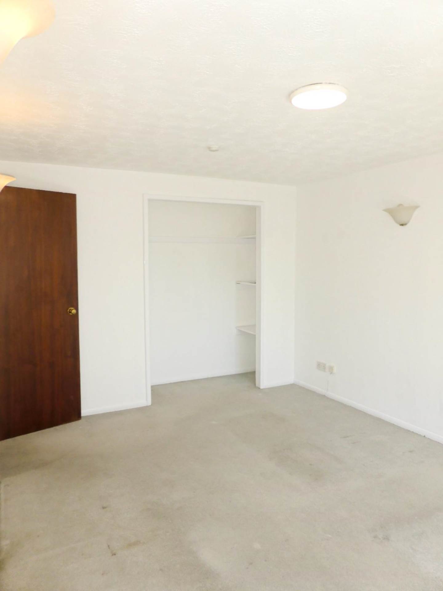 Campion, Elmore Close, Image 2