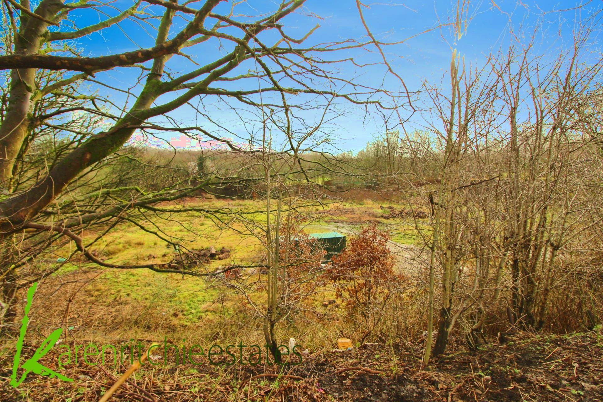 Dorris Avenue, Tonge Park, Image 11