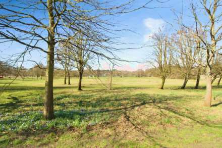 Moss Lane, Bolton, Image 2