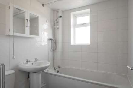 Studley Knapp, Walnut Tree, Image 10