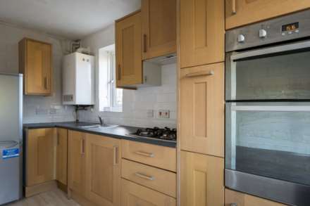 Studley Knapp, Walnut Tree, Image 3