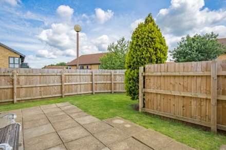 Studley Knapp, Walnut Tree, Image 6