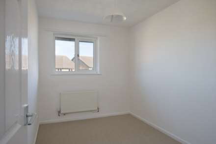 Studley Knapp, Walnut Tree, Image 8