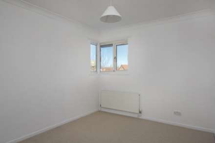 Studley Knapp, Walnut Tree, Image 9