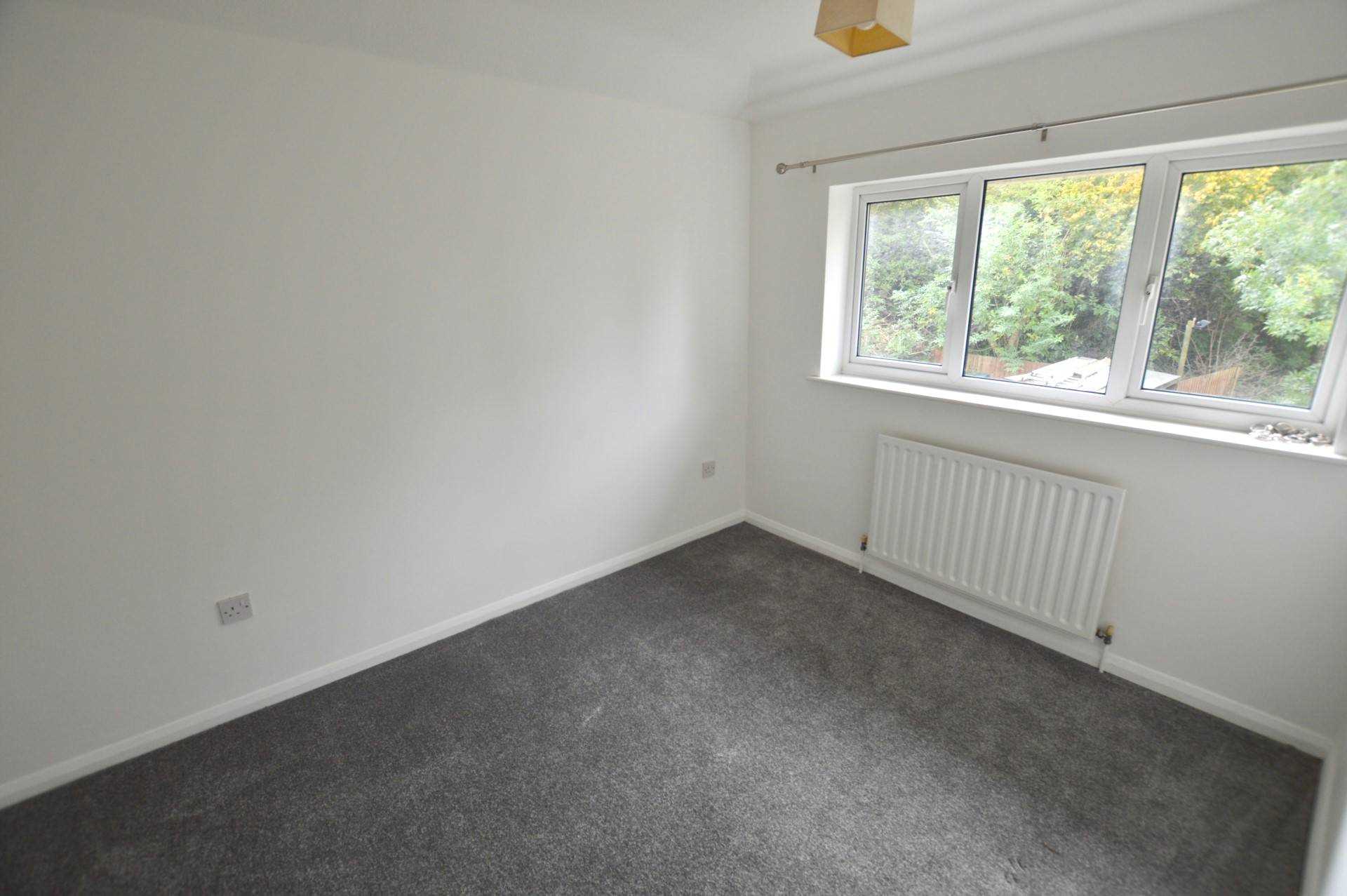 Hornbeam, Newport Pagnell, Image 6
