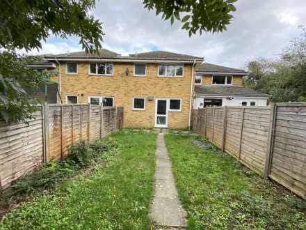 Hornbeam, Newport Pagnell, Image 4