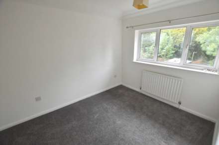 Hornbeam, Newport Pagnell, Image 6