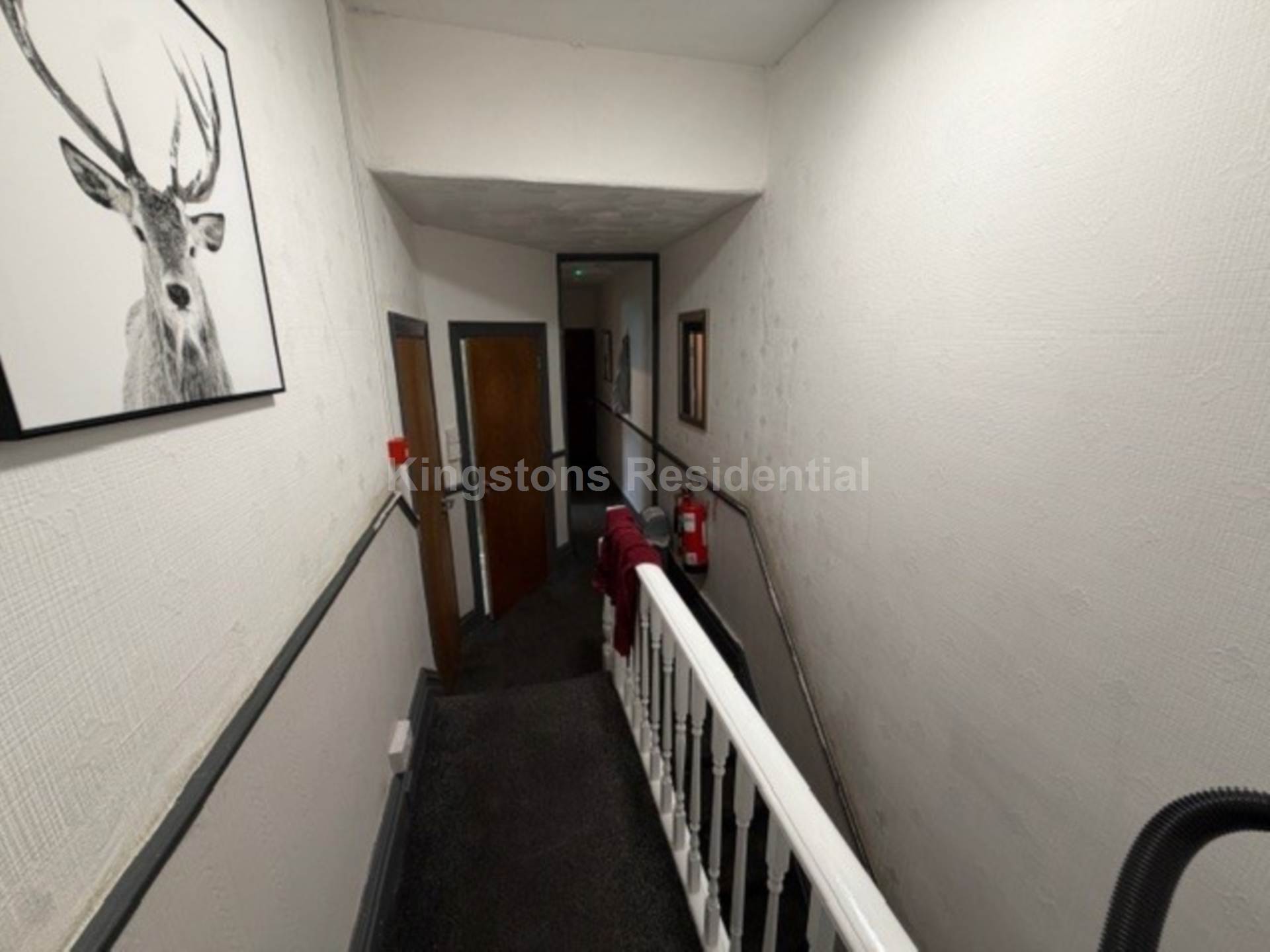 Monthermer Road, Cathays, Cardiff,  CF24 4QX, Image 9