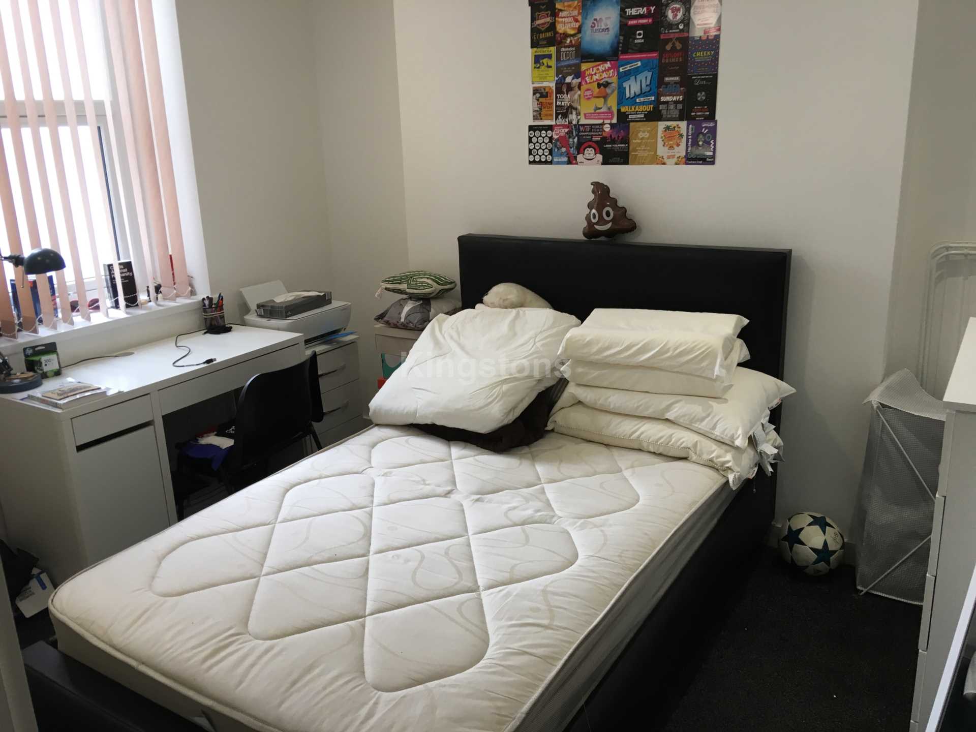 Coburn Street, Cathays, CF24 4BQ, Image 5