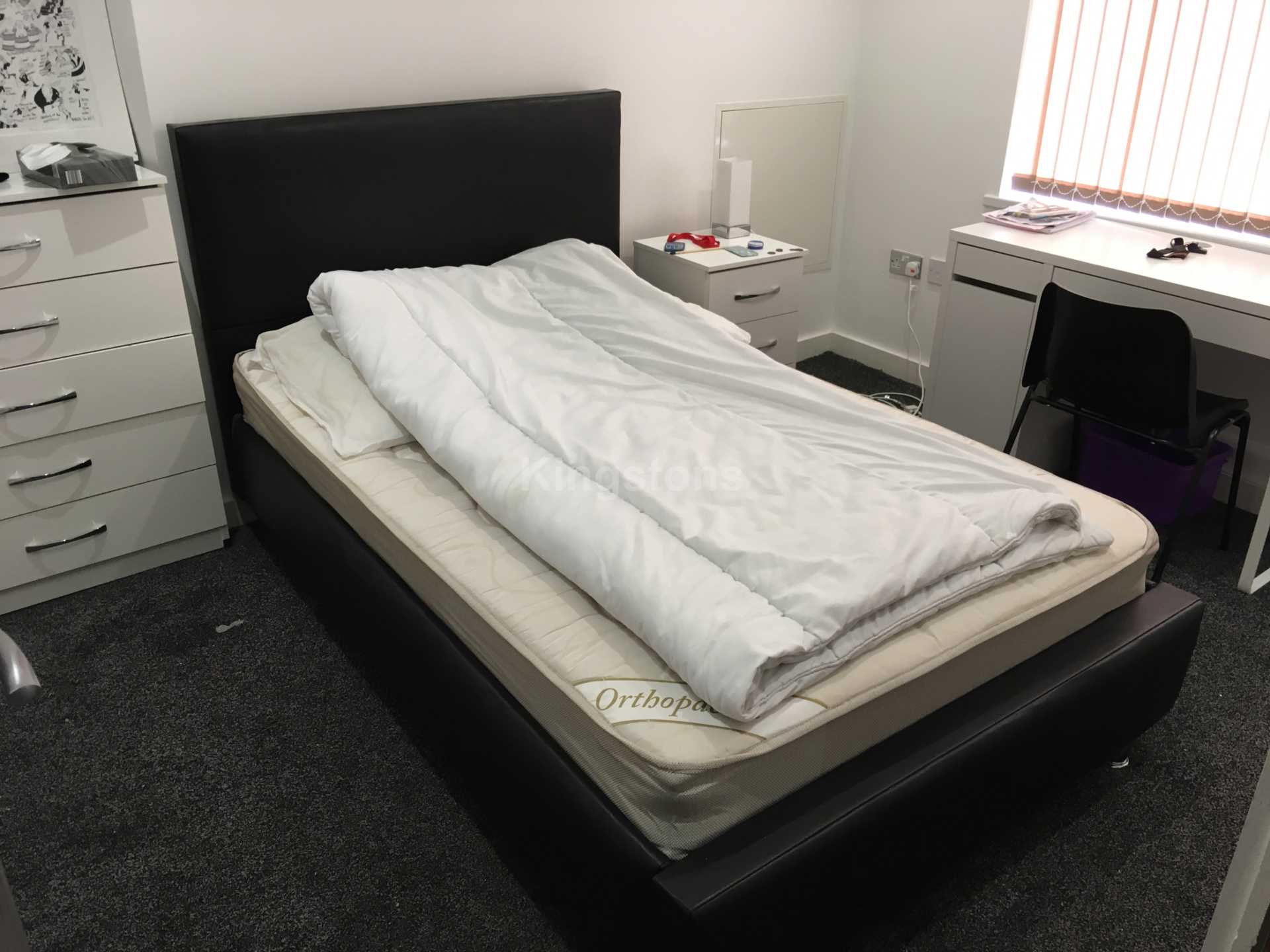 Coburn Street, Cathays, CF24 4BQ, Image 6