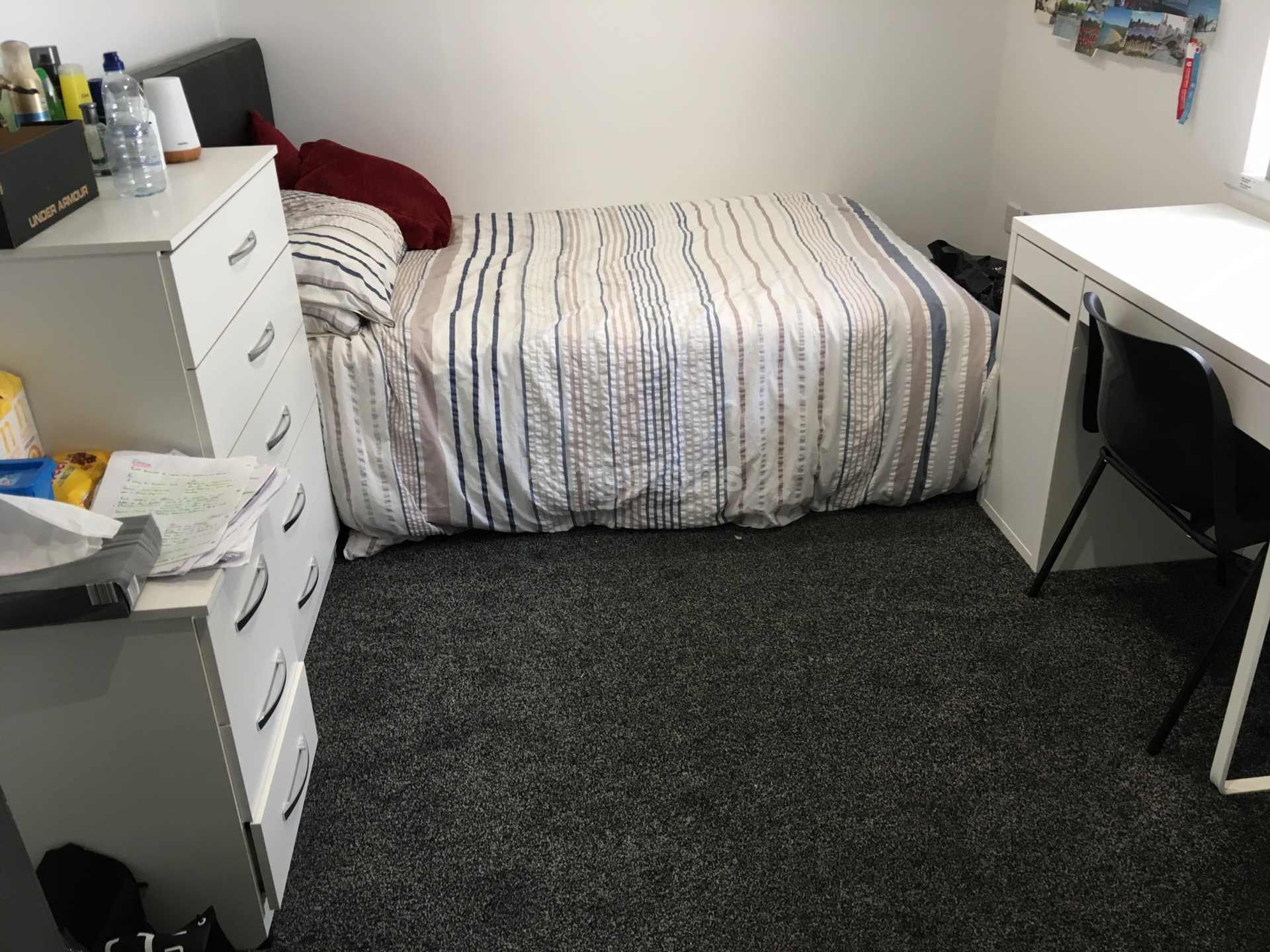 Coburn Street, Cathays, CF24 4BQ, Image 7