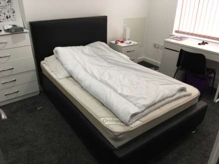 Coburn Street, Cathays, CF24 4BQ, Image 6