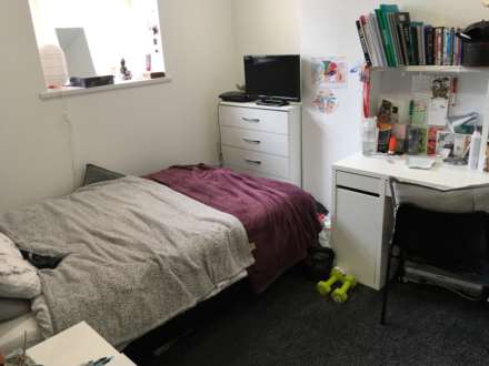 Coburn Street, Cathays, CF24 4BQ, Image 8